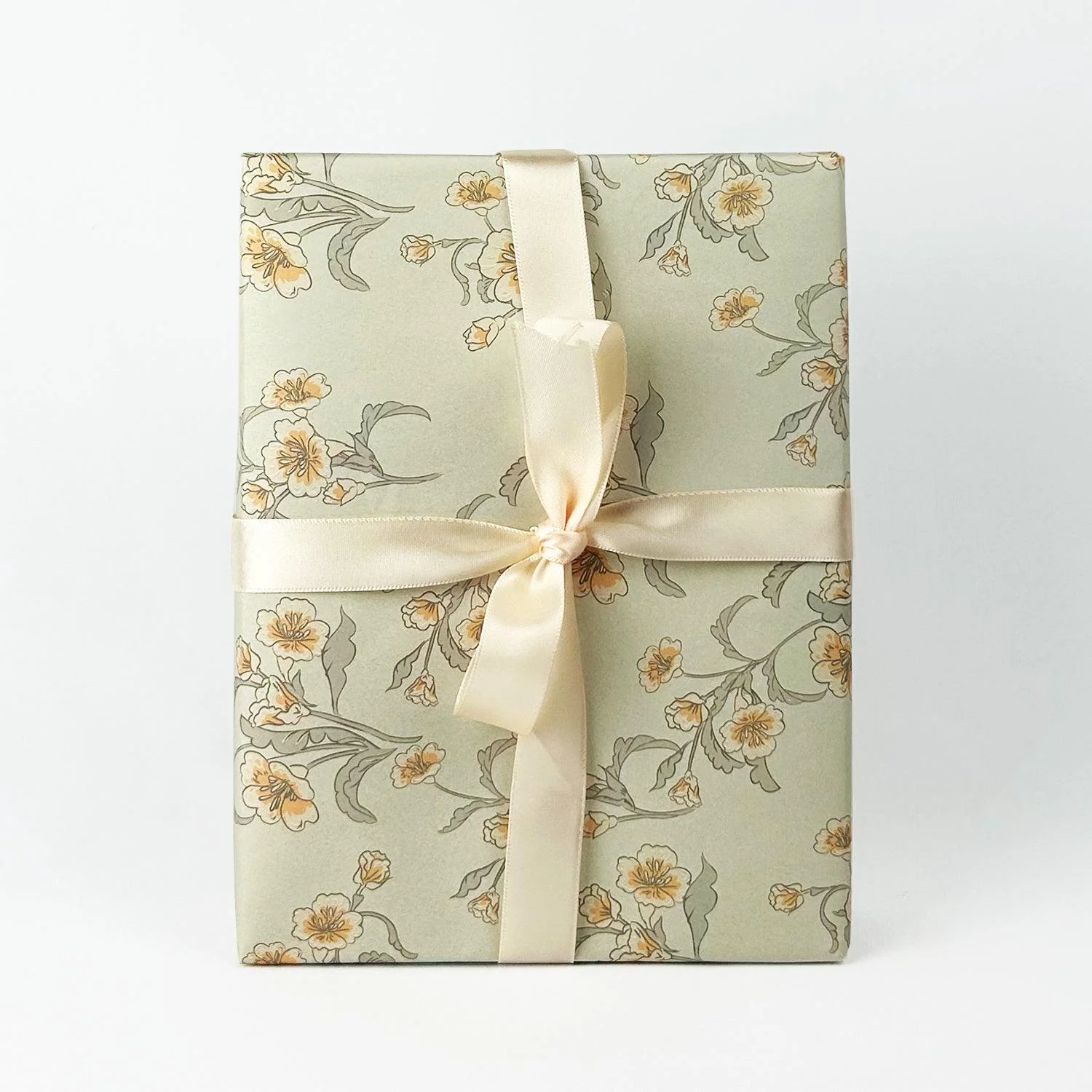Gift Wrapping 01